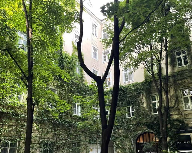 Vienna: Hidden courtyards Guided walking tour - A Walk That Gives You More Than One View