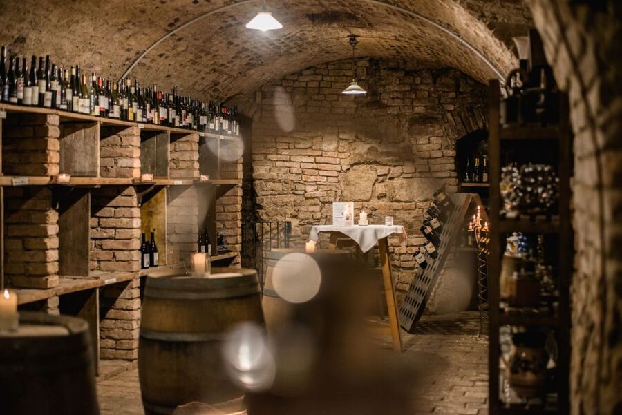 Vienna: Hidden Wine Cellars Tasting Experience - Stop 1: first private cellar, first glass, first taste of Viennese wine culture