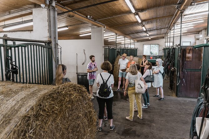Vienna Horse-drawn Carriage Guided Tour - Timing, drop-off, and finishing your Vienna day