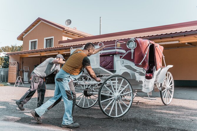 Vienna Horse-drawn Carriage Guided Tour - Price and value: is $39.16 a good deal?