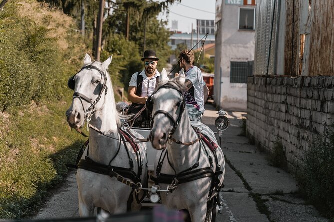 Vienna Horse-drawn Carriage Guided Tour - Who should book this carriage tour?