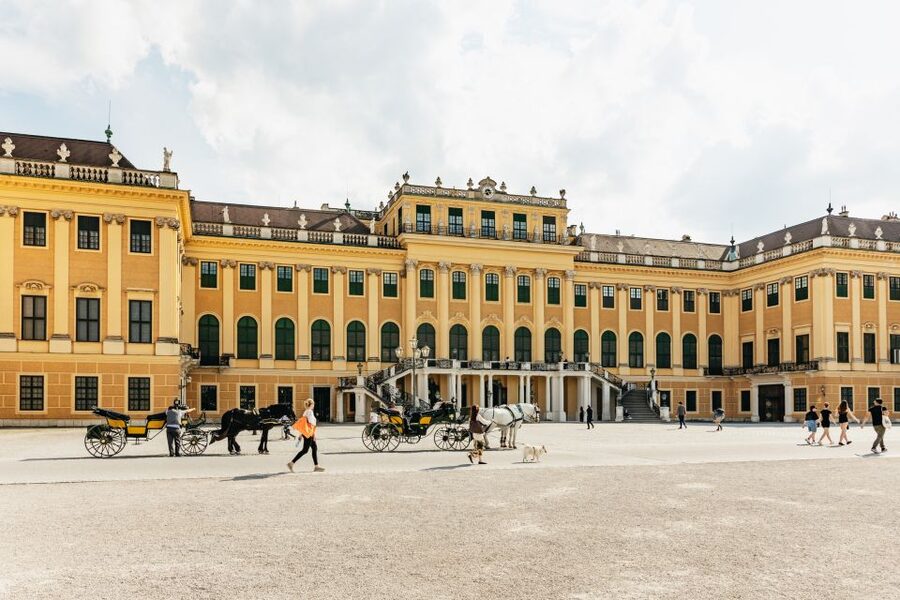 Vienna: Panorama Train Tickets to explore Schönbrunn Palace - Comfort and Mobility: Why This Works for More Than Speed