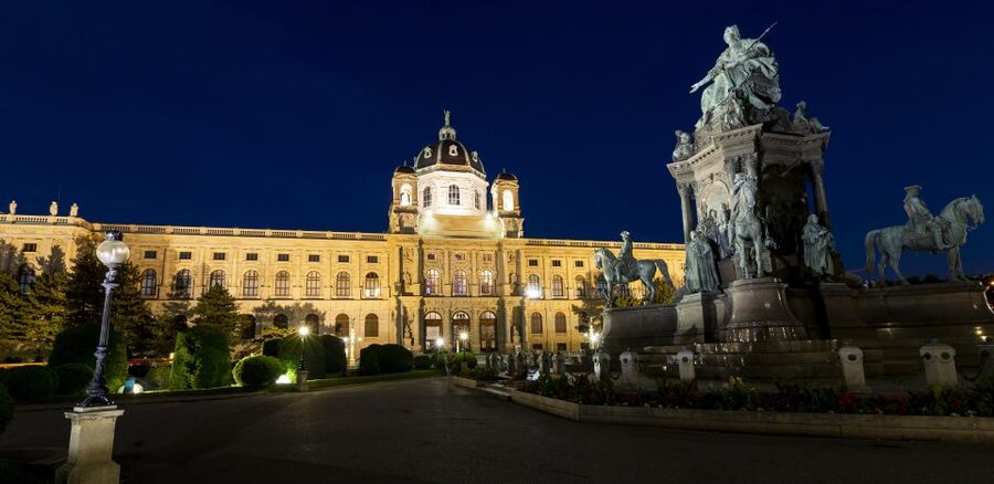Vienna: Panoramic Night Tour by Bus - On Board: What the Panoramic Ride Feels Like