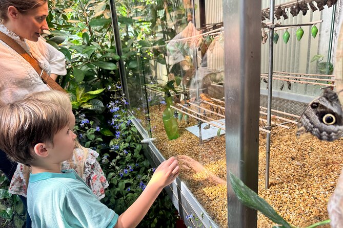 Vienna Private Family Tour: City Highlights, Museum and Cake - Augustinerkirche and Albertinaplatz: churches and views that tell you where you are