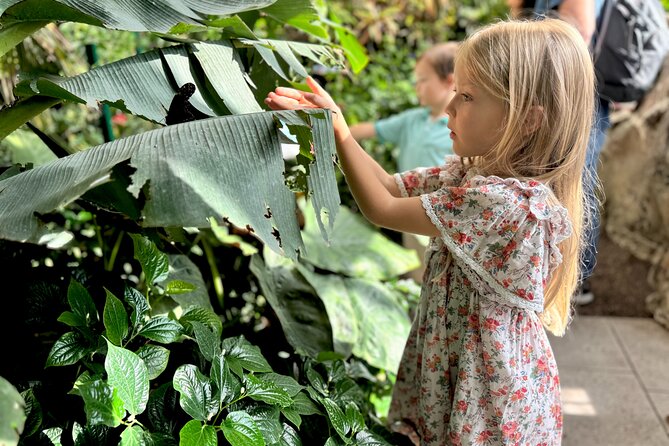 Vienna Private Family Tour: City Highlights, Museum and Cake - Hofburg Palace and Empress Sisi, with kid games that actually work