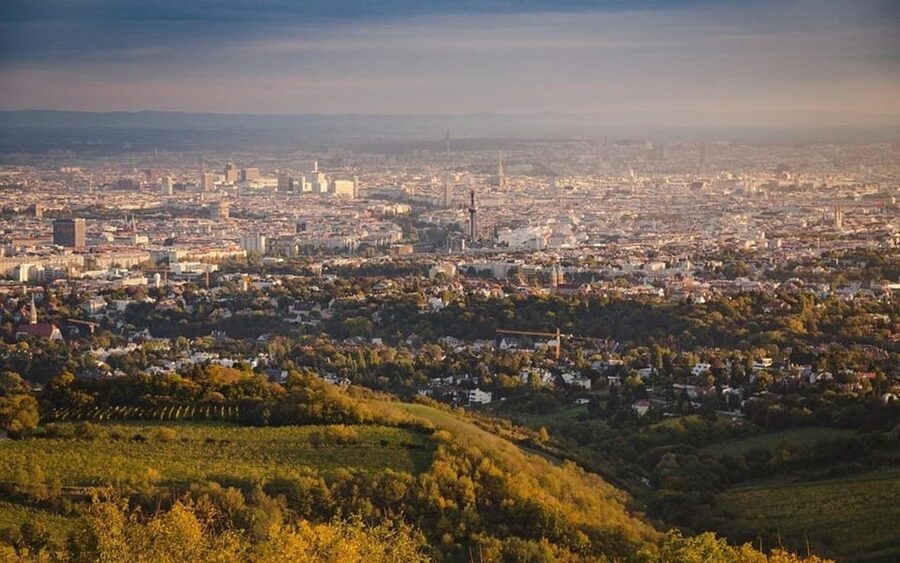 Vienna: Private Half-Day Sightseeing Tour - City Hall and Parliament Building: Where Vienna Shows Its Authority