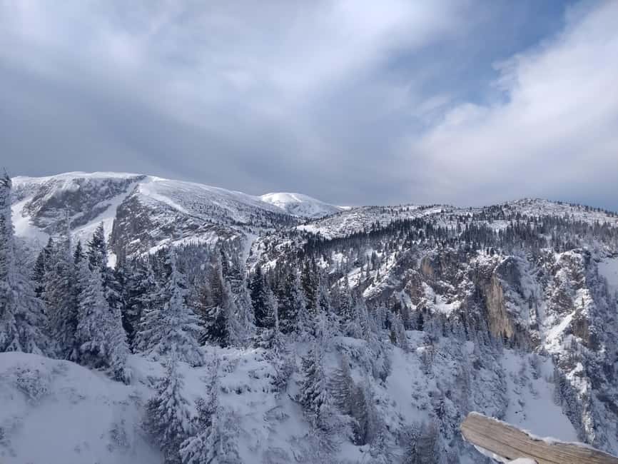 Vienna: Relaxed Alpine Snowshoe Experience Guide & Transfer - Key highlights worth planning for