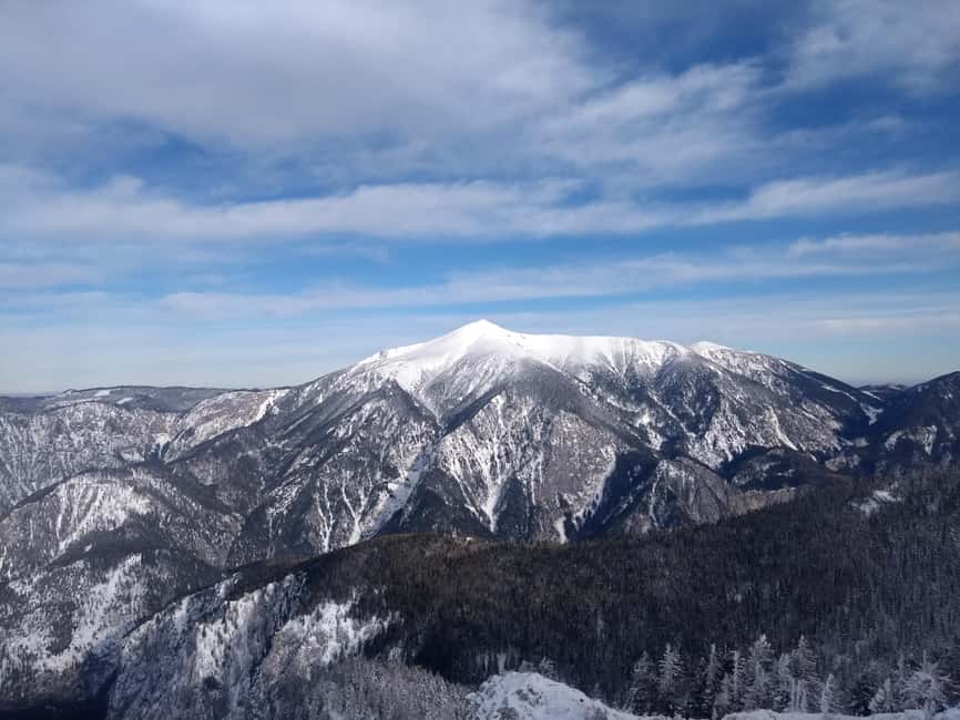 Vienna: Relaxed Alpine Snowshoe Experience Guide & Transfer - Rax mountains without the stress: what makes this day work