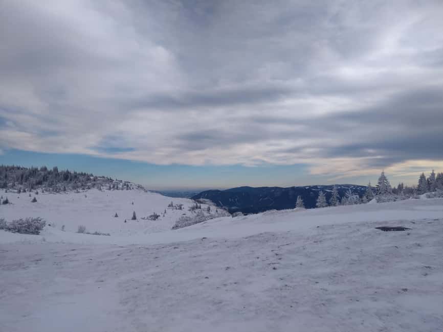 Vienna: Relaxed Alpine Snowshoe Experience Guide & Transfer - The van ride: comfortable transfer and easier arrival