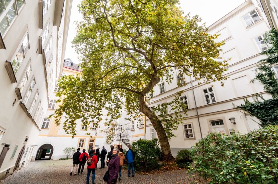 Vienna: Romantic Old Town 2-Hour Discovery Tour - Vienna in architecture: Gothic, Renaissance, Baroque, Rococo, Gründerzeit, Art Nouveau