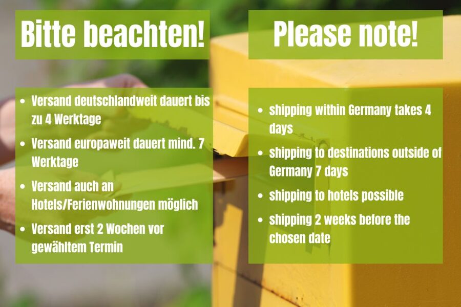 Vienna: Scavenger Hunt Self-Guided Tour - How the mailed box changes your Vienna day