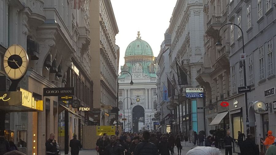 Vienna: Schönbrunn Palace and City Center Guided Tour - St. Steven Cathedral: finishing with a landmark you can’t ignore
