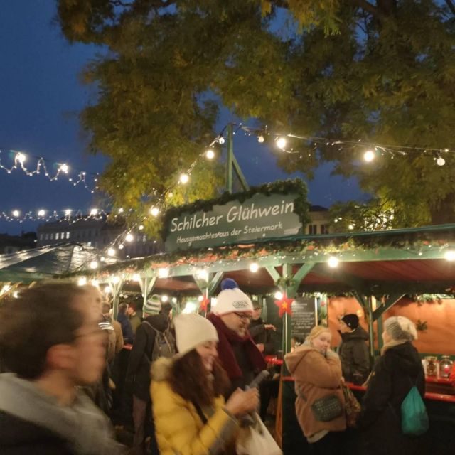Vienna: Schönbrunn Palace & Christmas Market Walking Tour - Garden time at Schönbrunn, the reset you’ll appreciate