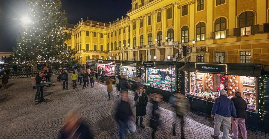 Vienna: Schönbrunn Palace & Christmas Market Walking Tour - Meeting at the main gate, and why timing matters