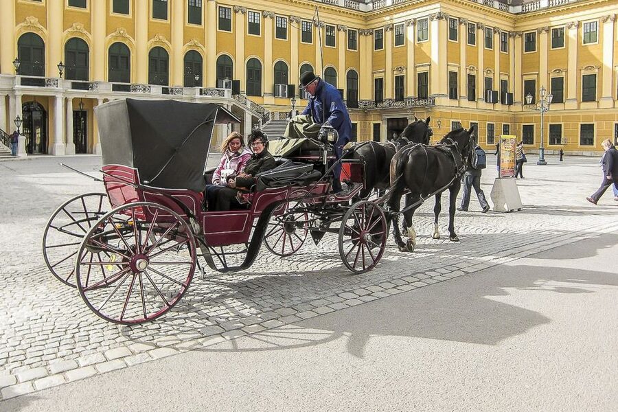 Vienna: Schönbrunn Palace & Gardens Skip-the-Line Tour - The Habsburg and Sissi stories, told with humor that keeps you awake