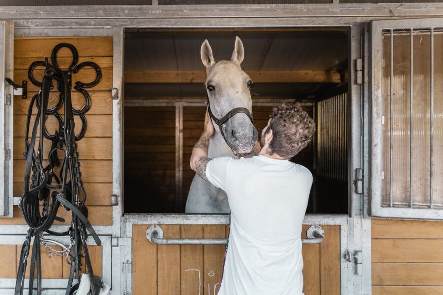 Vienna: Secrets of the Fiaker & Horse-Drawn Carriage Ride - Key highlights you should care about