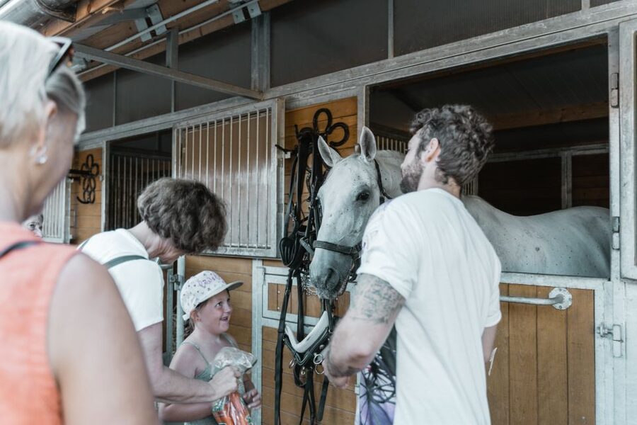 Vienna: Secrets of the Fiaker & Horse-Drawn Carriage Ride - Getting there from central Vienna: Simmering is doable, but plan ahead