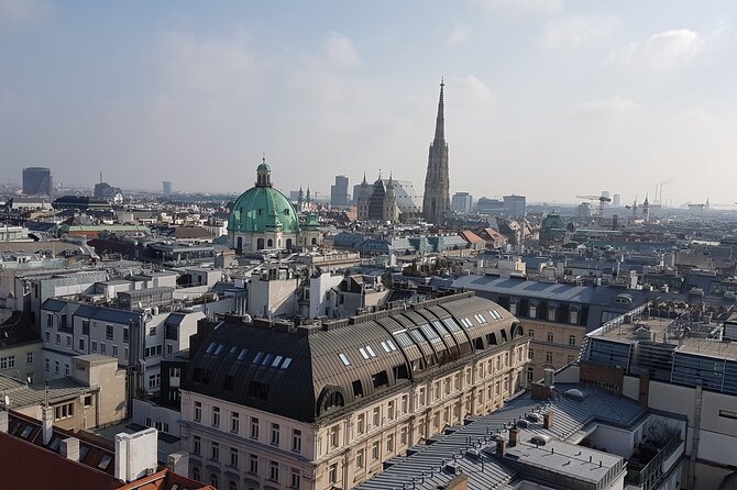 Vienna Secrets Walking Tour to Backyards and Mysterious Locations - Mozart, millionaire money, and the social ladder you can see