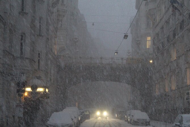 Vienna Secrets Walking Tour to Backyards and Mysterious Locations - Price and what feels like real value at $36.04