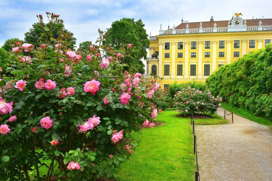 Vienna: Skip-the-Line Schonbrunn Palace Private Tour - Price and Value: Is 267 Per Person Reasonable?
