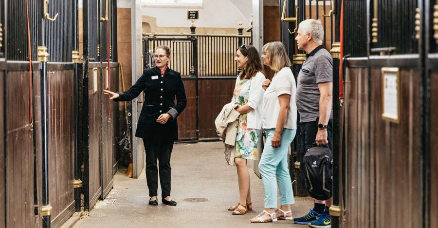 Vienna Spanish Riding School Guided Tour - Entering Michaelerplatz: a short tour with big focus
