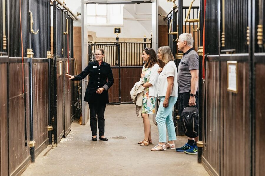 Vienna Spanish Riding School Guided Tour - Summer Riding School and the oval horse walker