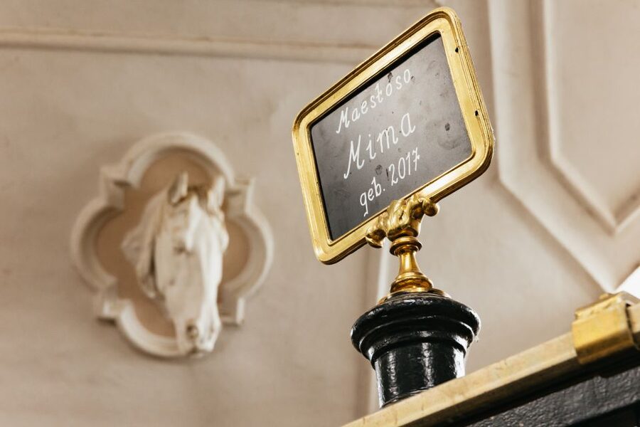 Vienna Spanish Riding School Guided Tour - Stallburg: Vienna’s Renaissance stable heart