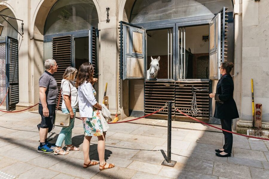 Vienna Spanish Riding School Guided Tour - Stallions, stables, and the tack-room details you’ll want to remember