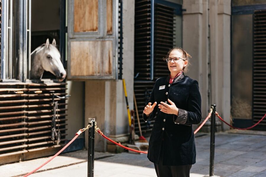 Vienna Spanish Riding School Guided Tour - How the guide experience shapes what you get