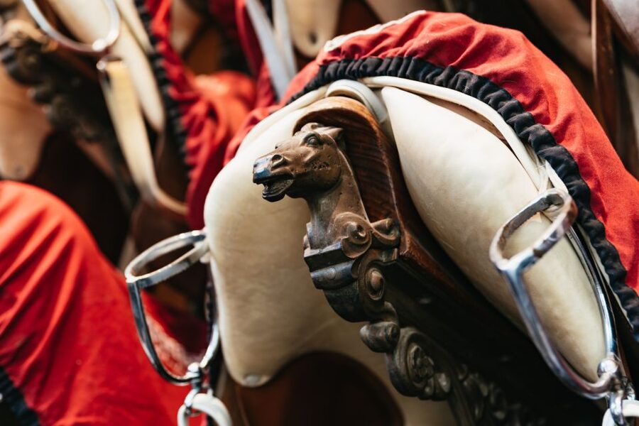 Vienna Spanish Riding School Guided Tour - Who should book this Spanish Riding School tour