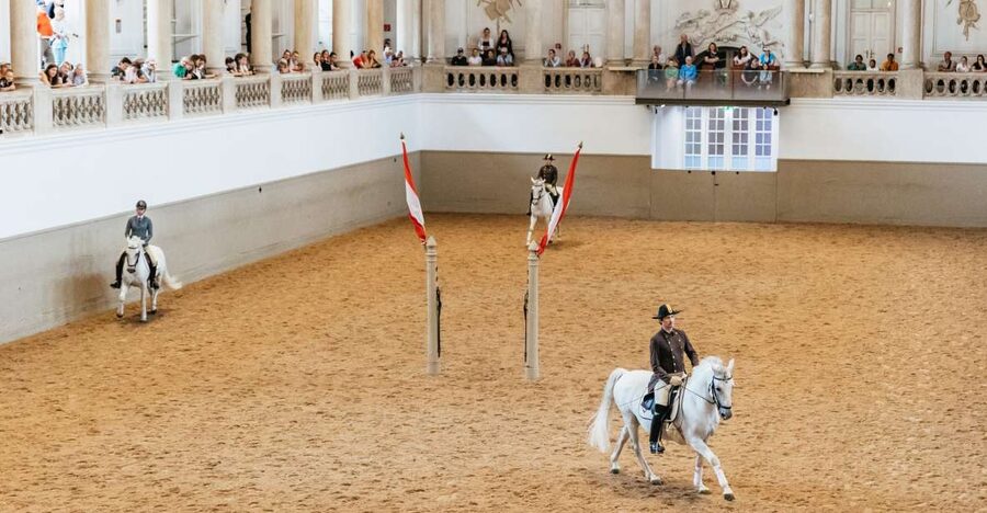 Vienna: Spanish Riding School Training - Key takeaways before you go