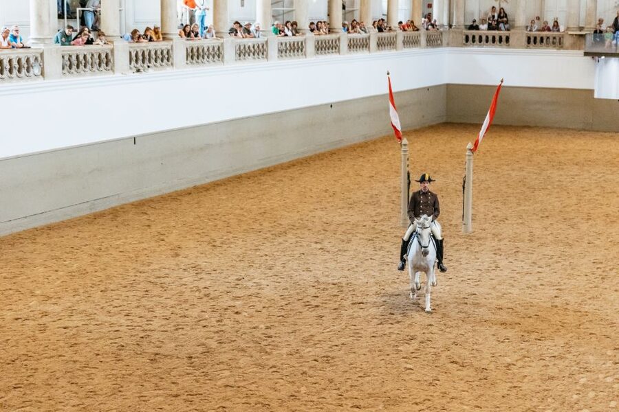 Vienna: Spanish Riding School Training - Accessibility and comfort: plan for stairs and limited elevator access