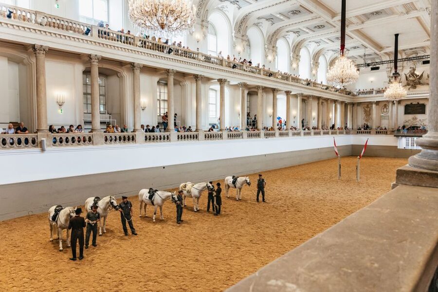 Vienna: Spanish Riding School Training - Vienna’s Spanish Riding School training, and why it’s worth your time