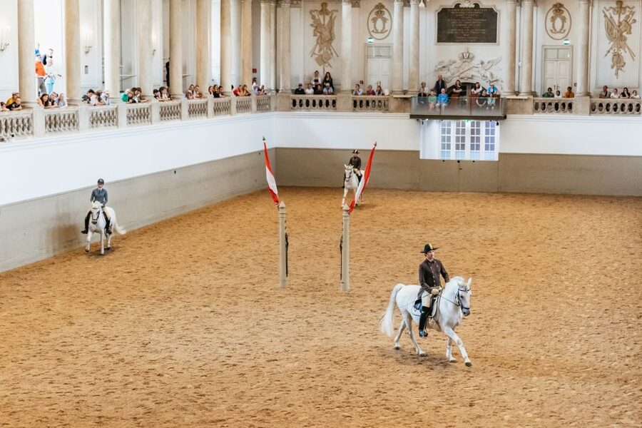 Vienna: Spanish Riding School Training - What you will actually watch for the full hour