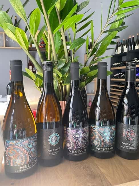 Vienna: Taste Austria the ABCs of Wine - South Styria Sauvignon Blanc: steep slopes and cool climate