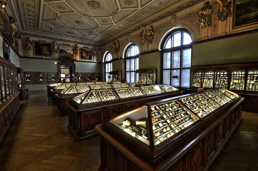 Vienna: Ticket to the Museum of Natural History - Upper floor animals: rare specimens, extinct species, and how to look