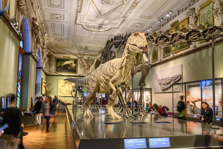 Vienna: Ticket to the Museum of Natural History - Ticket value and how to plan your 1-day visit