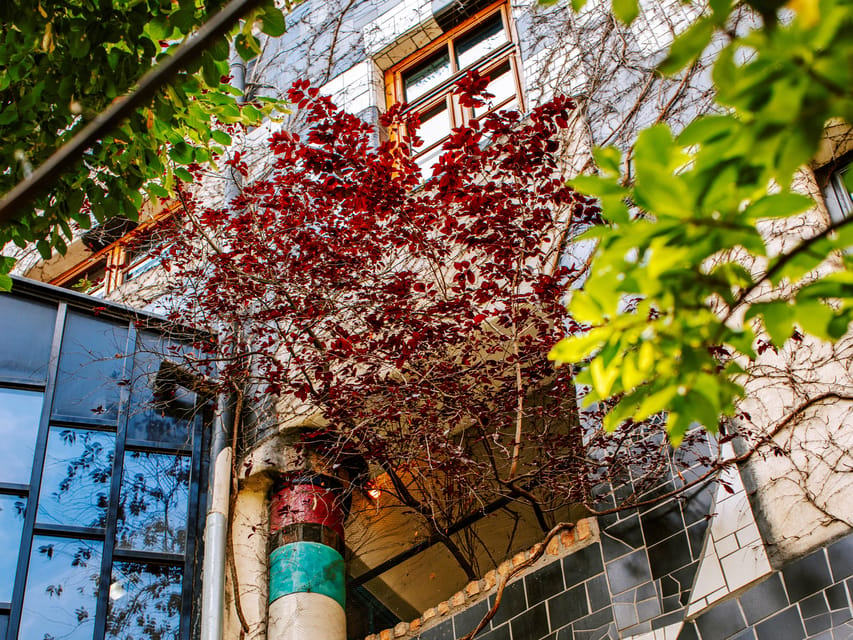 Vienna: Tickets for Kunst Haus Wien: Museum Hundertwasser - Café Friedlich and the green courtyard break