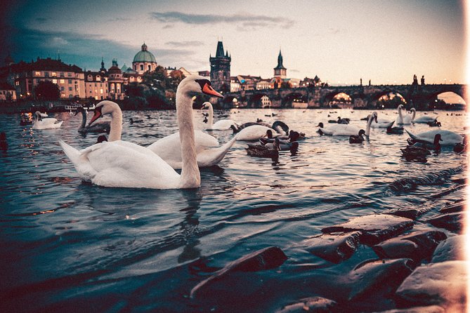 Vienna to Prague - Private Transfer with 2 hours of Sightseeing - Practical Tips Before You Go (So the Day Stays Easy)