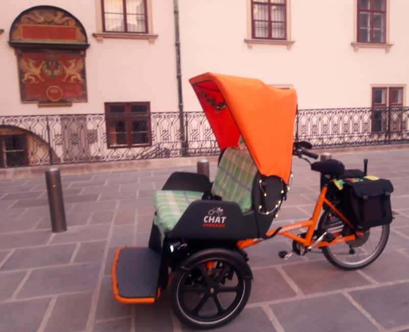 Vienna: Tour with locals in RAXI electric rickshaw - Key takeaways before you ride a RAXI