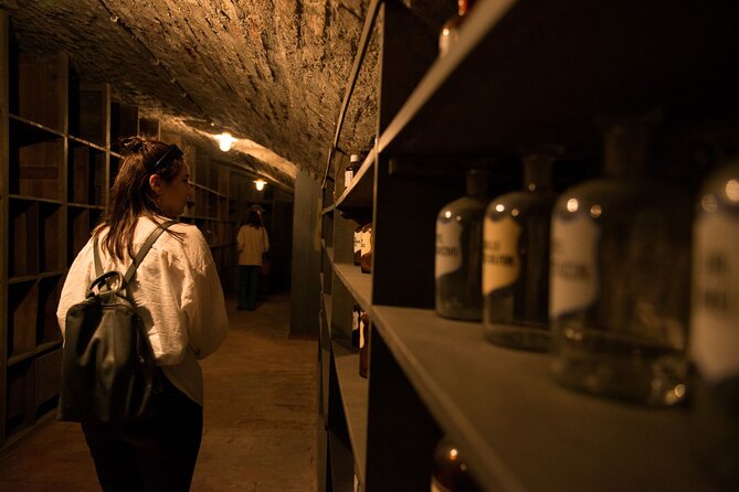 Vienna Underground Guided Walking Tour - The 2-Hour Flow, and Why Underground Time Feels Longer
