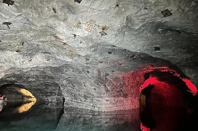 Vienna : Vienna Forest Tour with Underground Lake and Wine Tasting - Gumpoldskirchen Wine Bar: Simple, Local, and Taught While You Taste