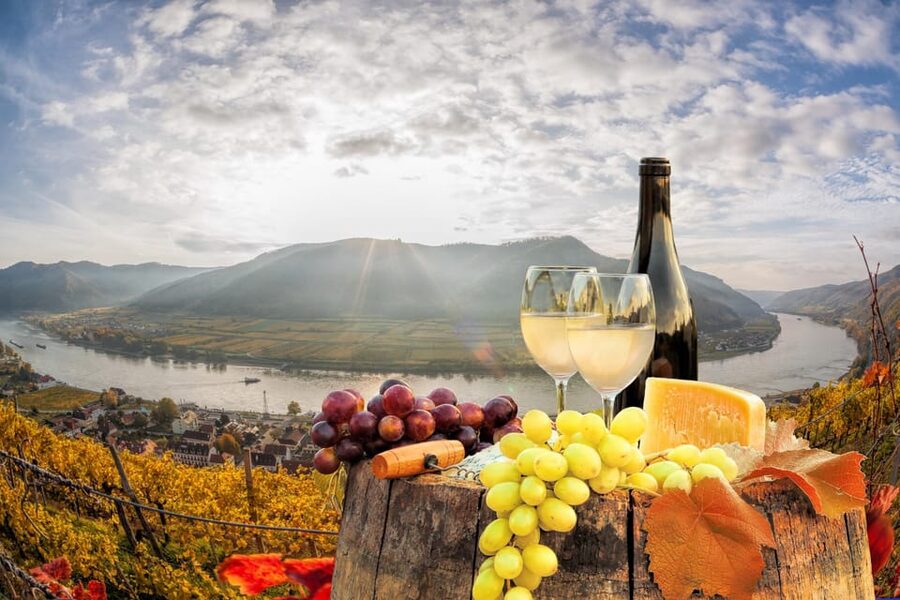 Vienna: Vienna Woods Tour with Underground Lake and Wine - Lower Austria scenic stops on the way