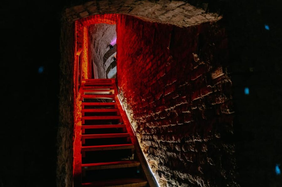 Vienna: Viennese Underworld Guided Walking Tour - WWII Relics and Air Raid Shelters: what you’ll learn underground