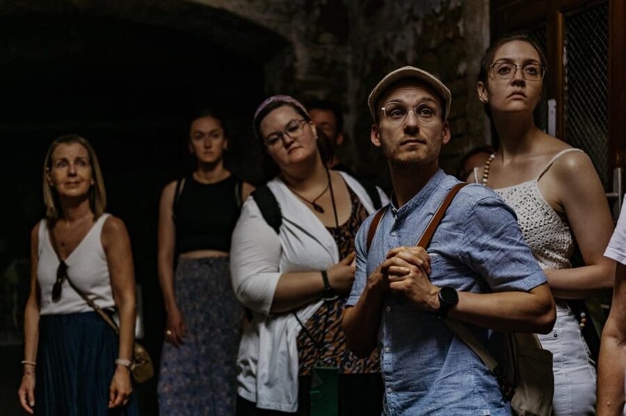 Vienna: Viennese Underworld Guided Walking Tour - Pharmacy Laboratory and Medicine Cellar: the everyday side of survival