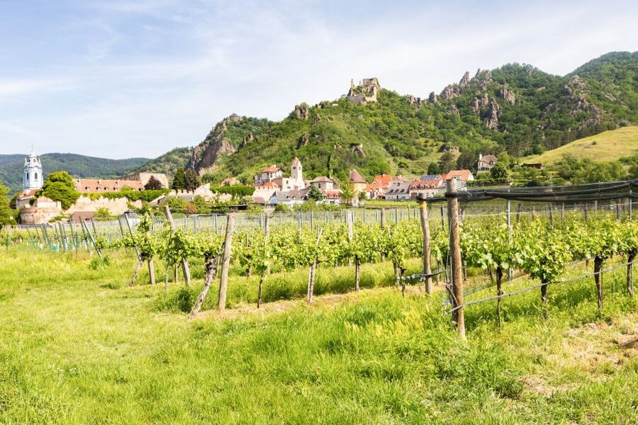 Vienna: Wachau Valley, Melk Abbey Tour with Danube Boat Trip - The Benedictine Abbey of Melk tour: Baroque splendor with valley views