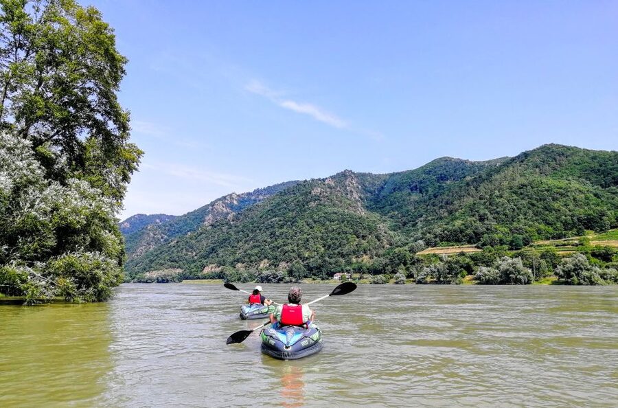 Vienna: Wachau Valley Private Kayak and Wine Tour - Key highlights from this Wachau Valley private kayak and wine day