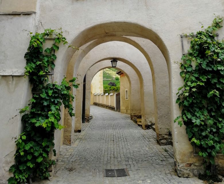 Vienna: Wachau Valley Private Kayak and Wine Tour - The guide experience: what makes the day feel personal
