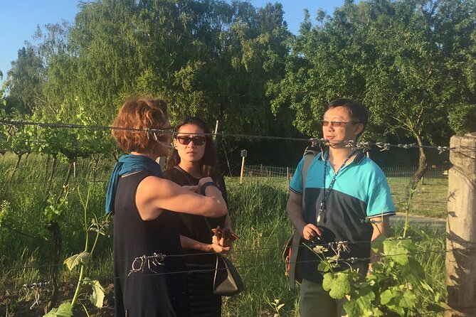 Vienna Wine Experience - Gemischter Satz and Austrian grape variety, explained the way you can use