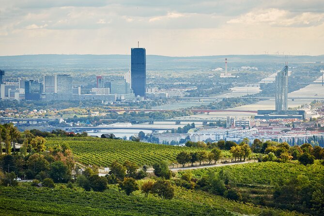 Vienna Wine Experience - Why this tour’s wine format feels like value, not a trap